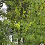 Апартаменты Zum Fischerhaus Констанц