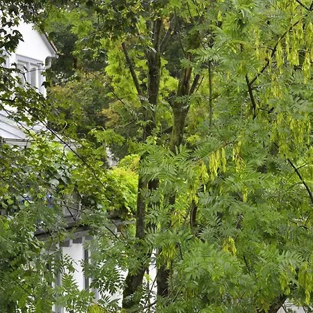 Lägenhet Zum Fischerhaus Konstanz