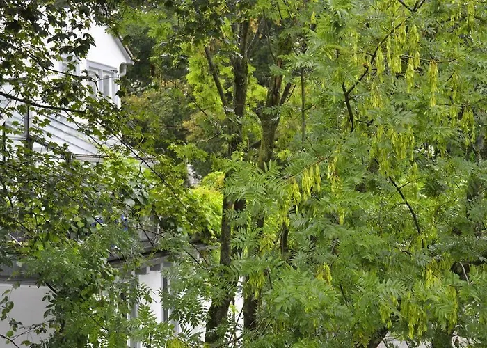 Lejlighed Zum Fischerhaus Konstanz